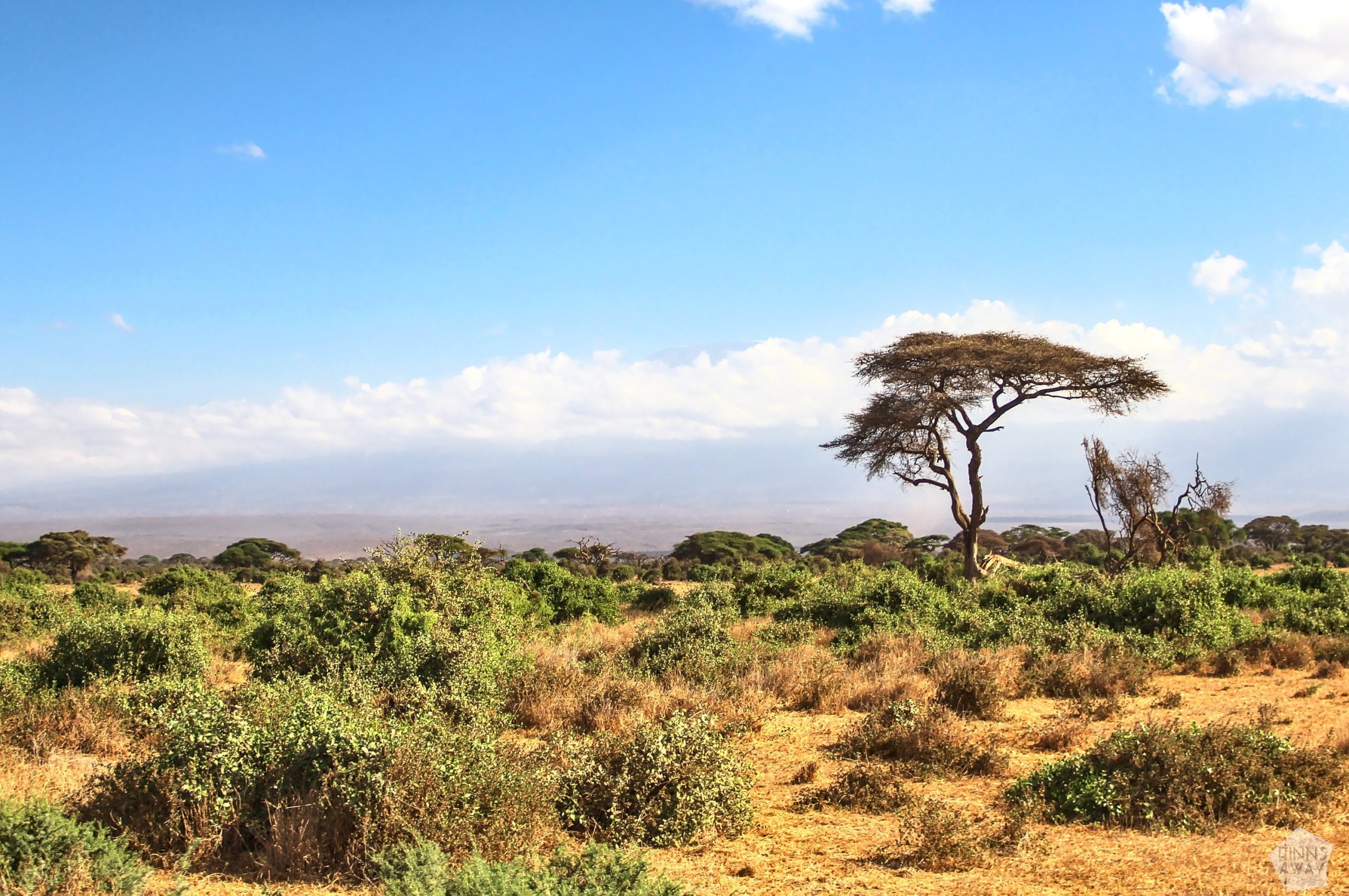 Landscape in Amboseli | 2-day safari in Amboseli National Park, Kenya | FinnsAway