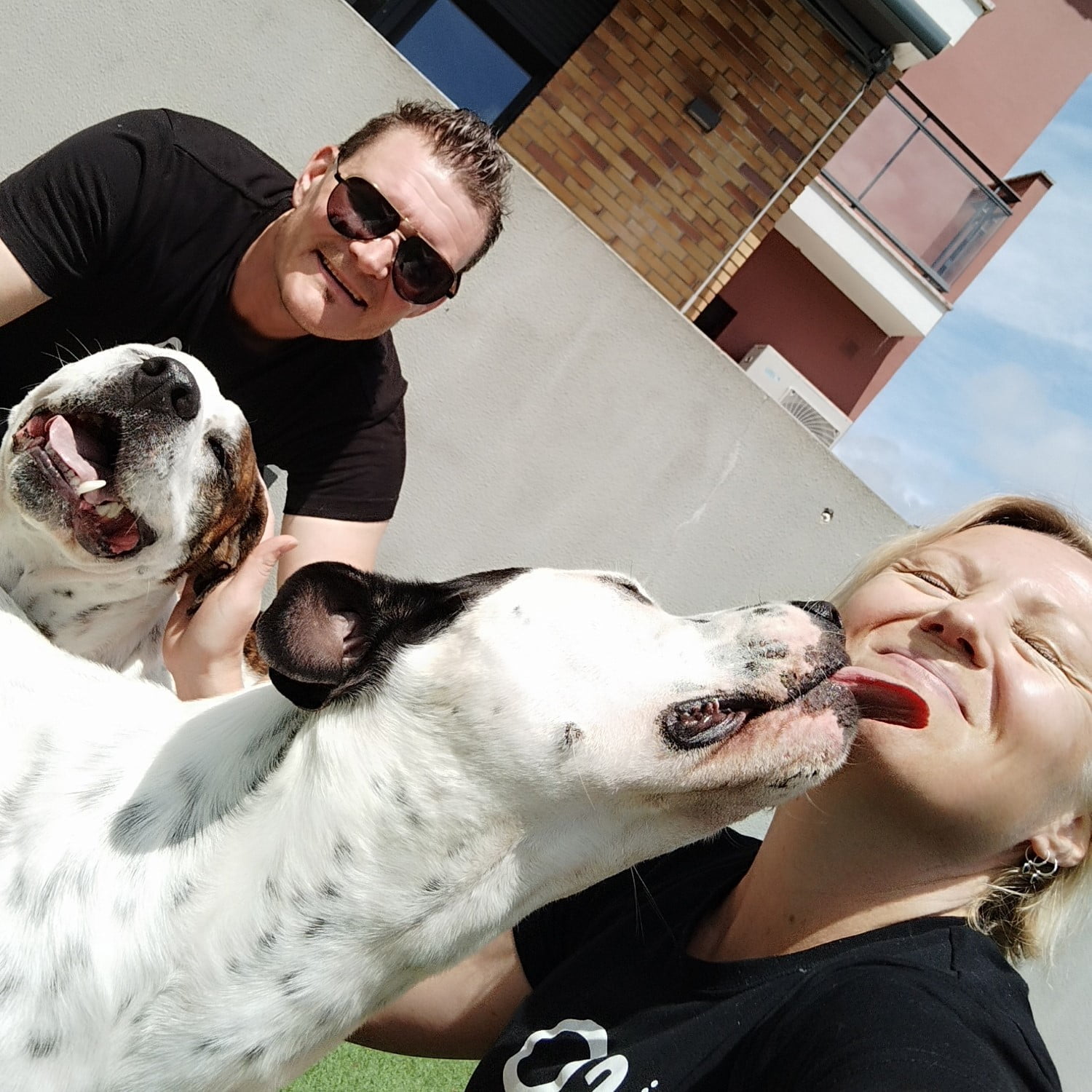 Dog-sitting in Portugal | Nomad year 2023 summary | FinnsAway Travel Blog