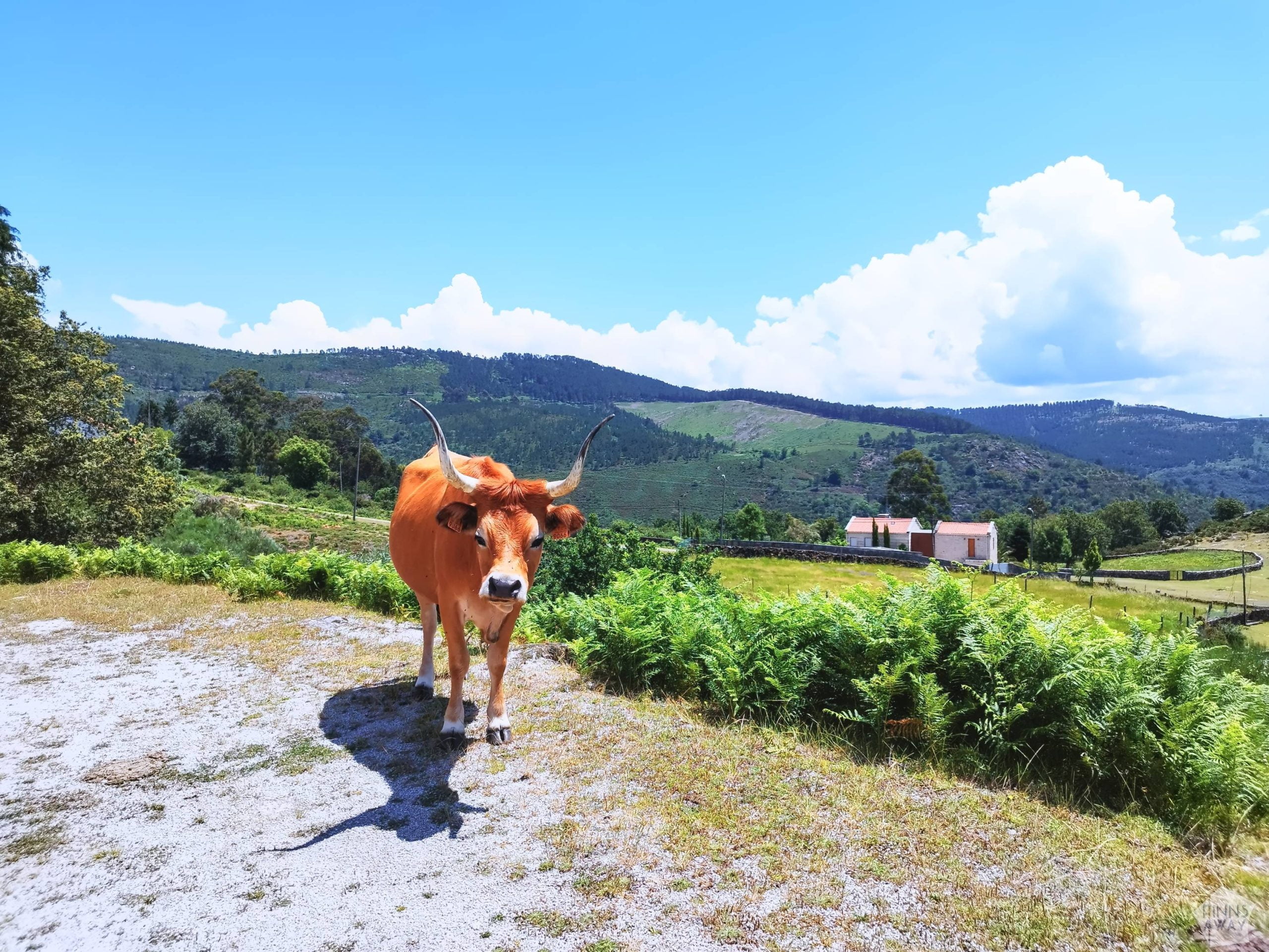 Peneda National Park, Portugal | Nomad year 2023 summary | FinnsAway Travel Blog