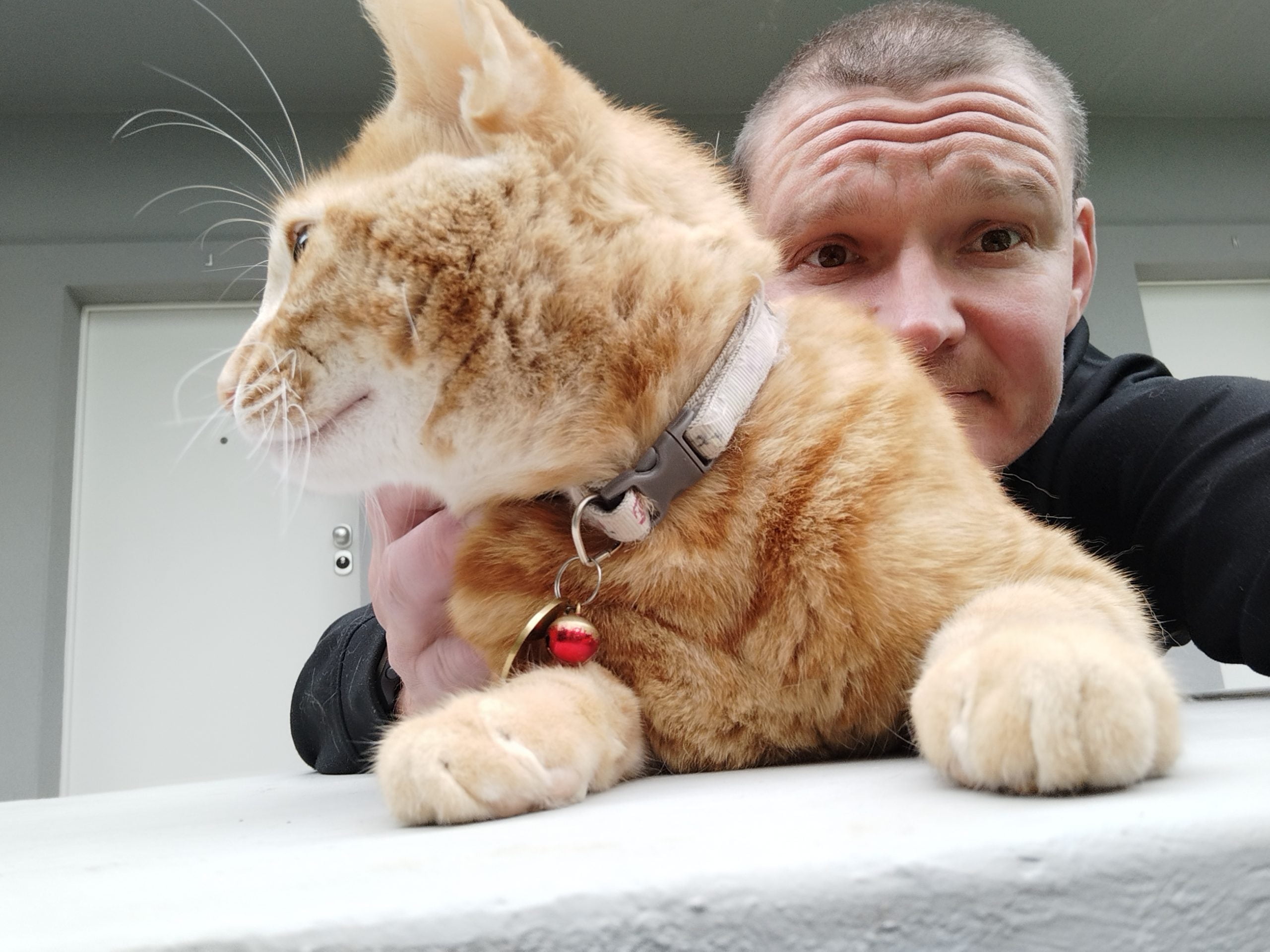 With a cat in Porto, Portugal | Nomad year 2023 summary | FinnsAway Travel Blog