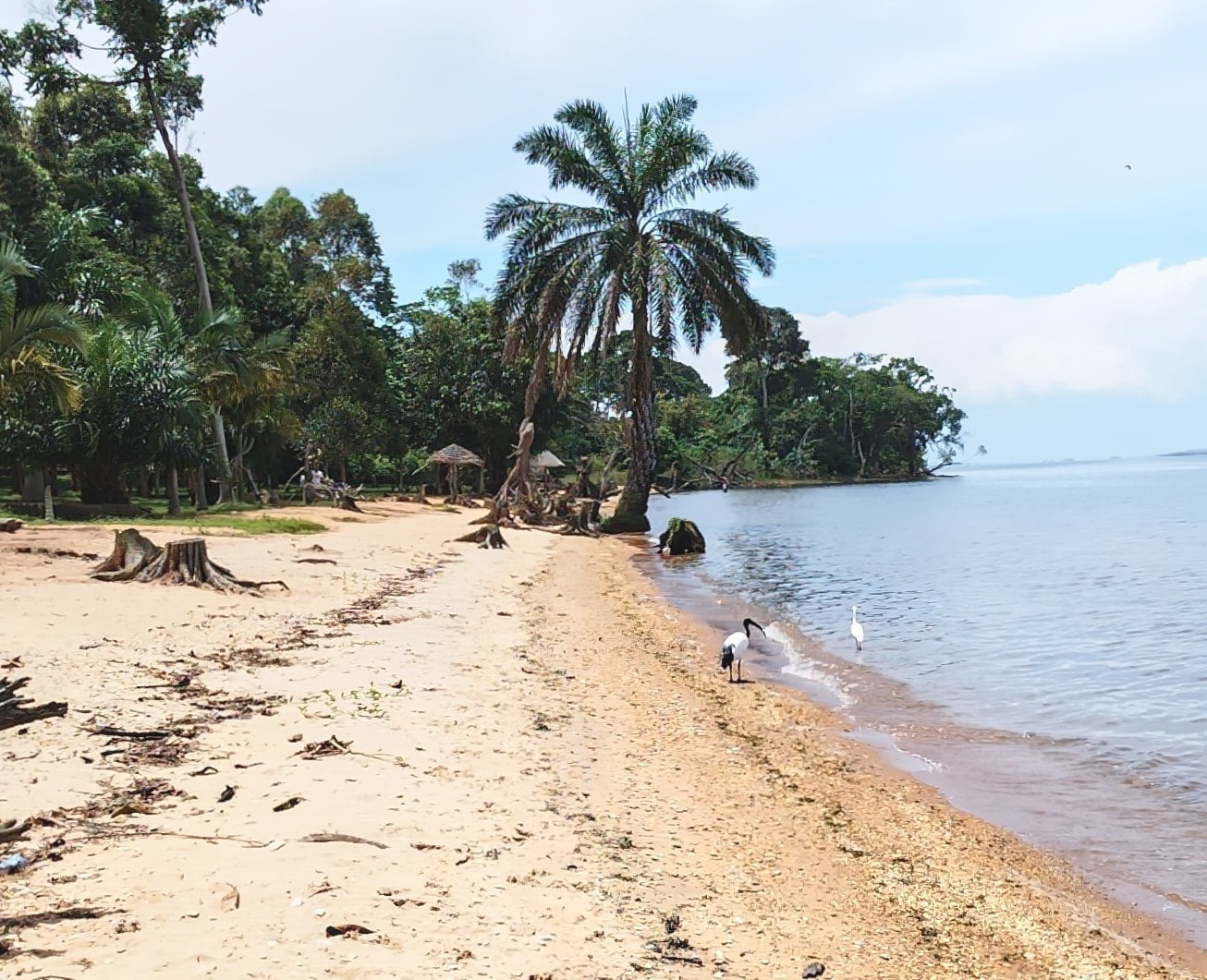 Buganda, Ssese Islands, Uganda