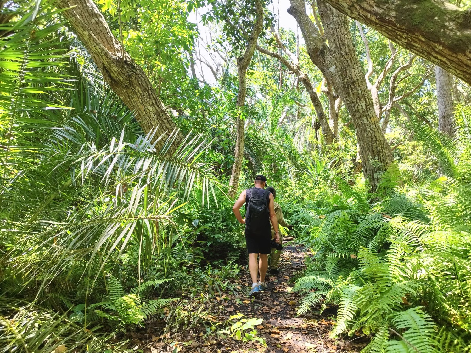 Jozani Forest, Zanzibar | Tanzania | FinnsAway nomadic travels