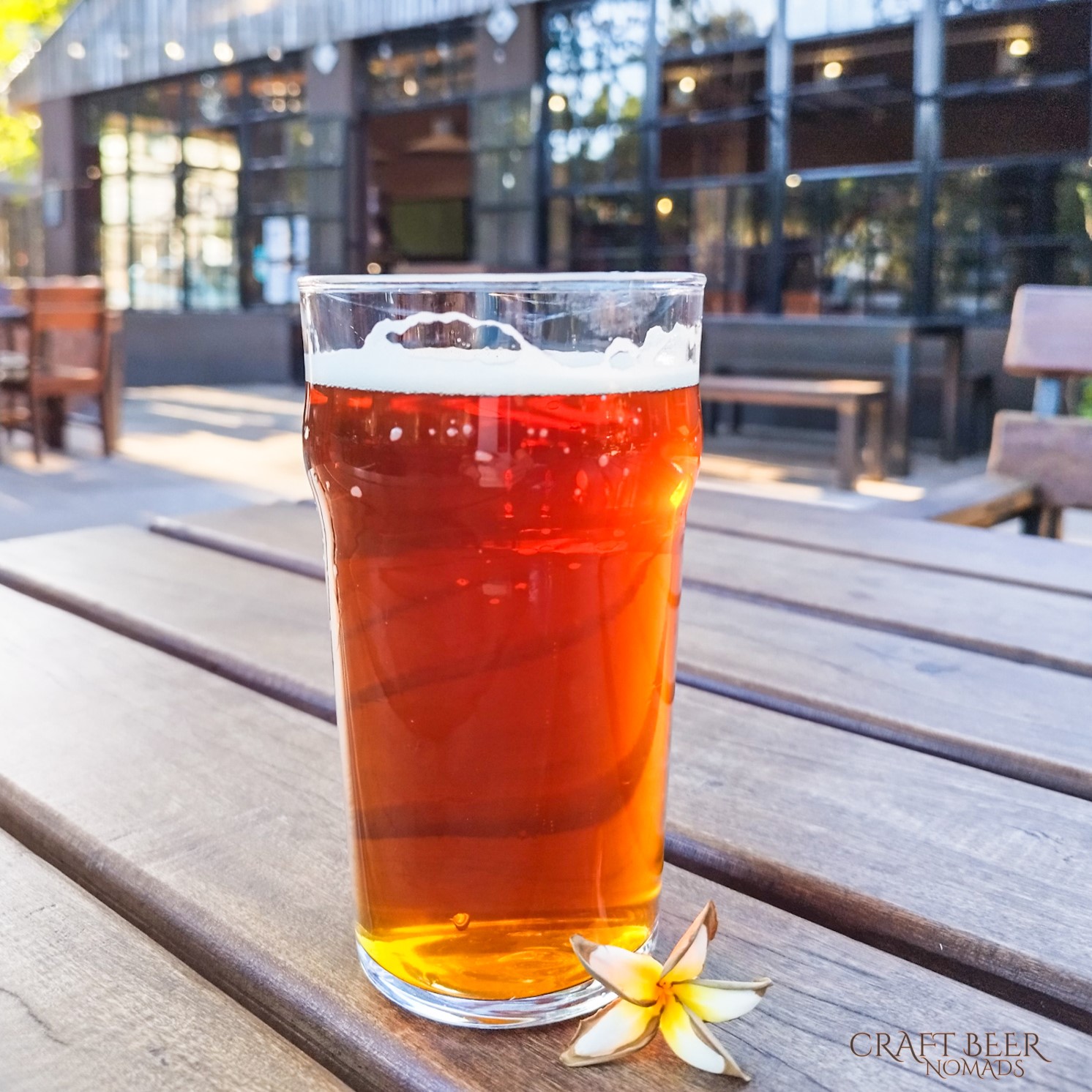 River Brewing craft beer in Victoria Falls Town, Zimbabwe | FinnsAway Nomadic Life