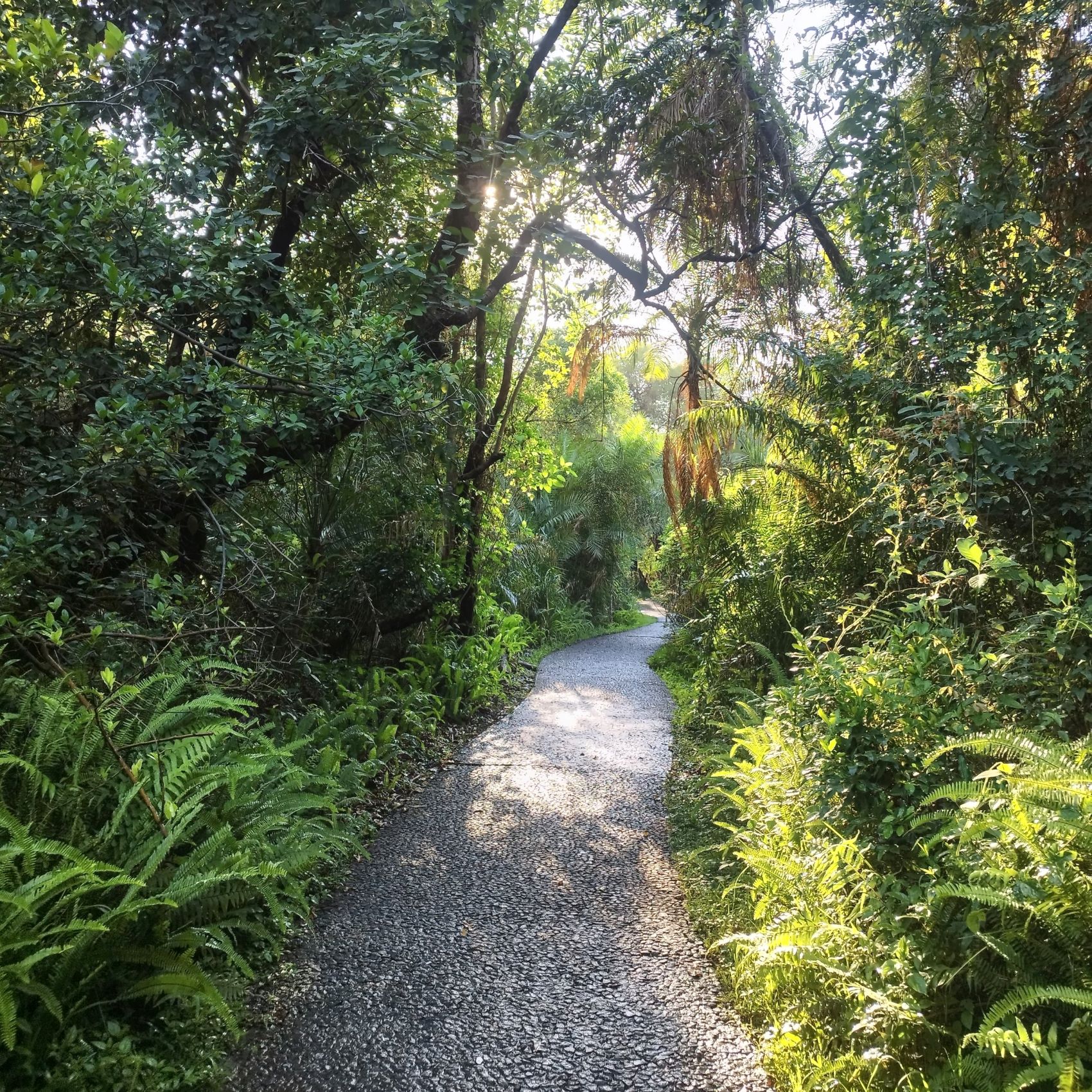 Victoria Falls, Zimbabwe | FinnsAway Nomadic Life