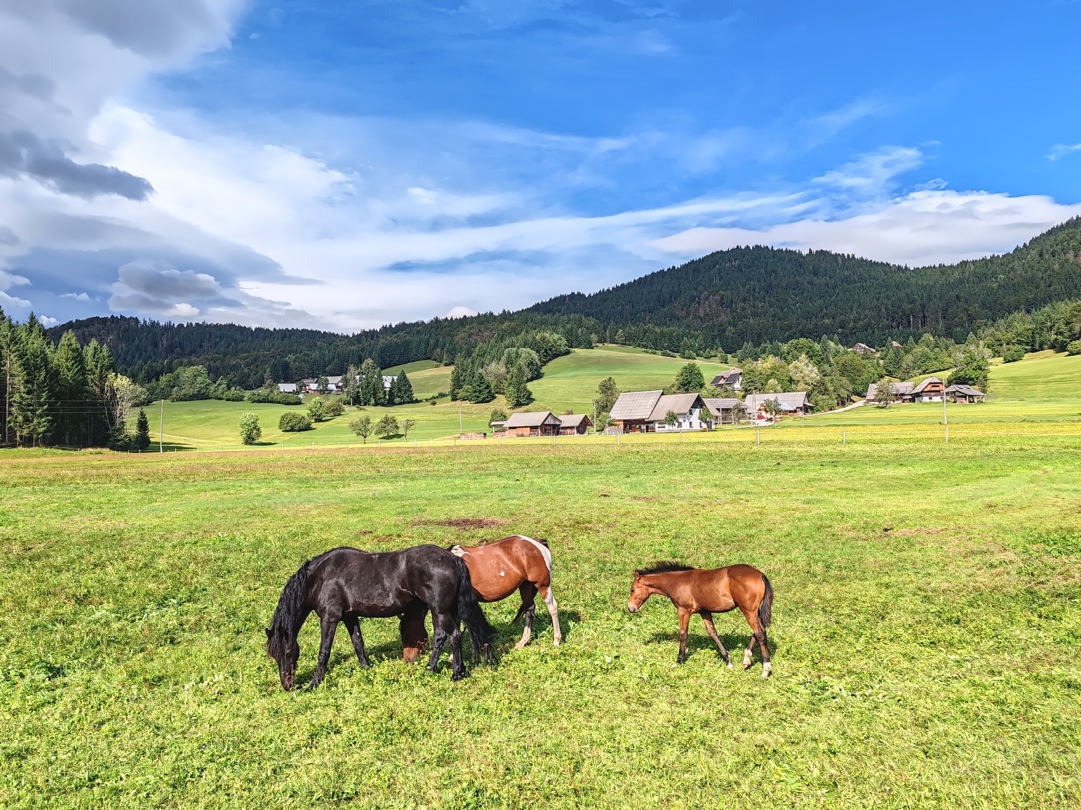 Bohinj, Slovenia | Nomad year 2024 summary | FinnsAway Travel Blog