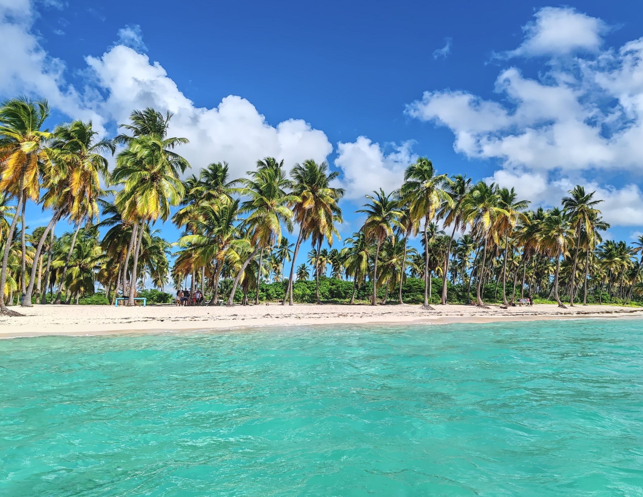Saona Island Dominican Republic | Nomad year 2024 summary | FinnsAway Travel Blog