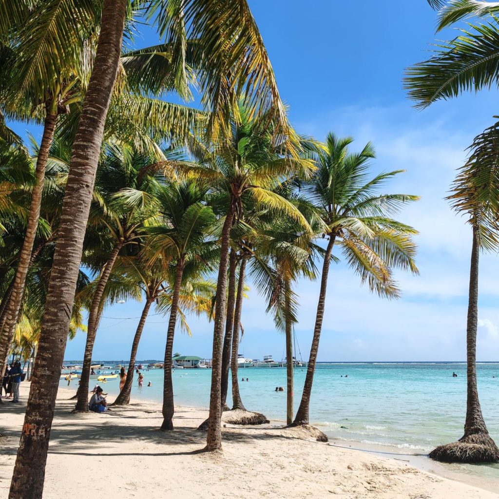 Beach and palm trees in Boca Chica, Dominican Republic | FinnsAway travel blog