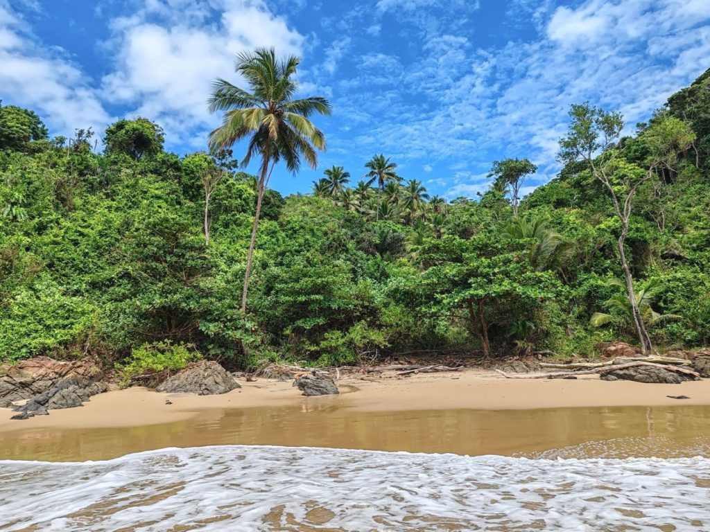 Beach surrounded with jungle in Itacare, Brazil | FinnsAway travel blog