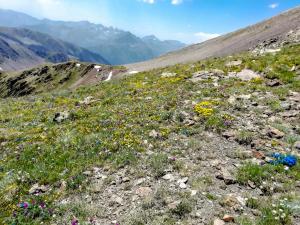 Three peaks hike | Hiking in Sorteny Valley Nature Park, Andorra | FinnsAway nomad travels