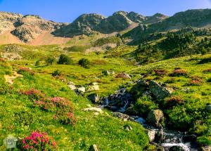 Three peaks hike | Hiking in Sorteny Valley Nature Park, Andorra | FinnsAway nomad travels
