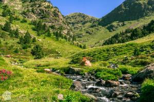 Three peaks hike | Hiking in Sorteny Valley Nature Park, Andorra | FinnsAway nomad travels