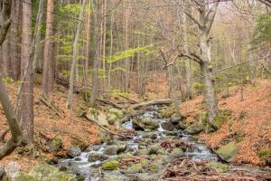 Hiking in Vitosha Nature Park Bulgaria | FinnsAway Travel Blog