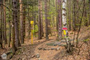 Hiking in Vitosha Nature Park Bulgaria | FinnsAway Travel Blog