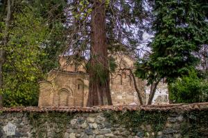 Hiking in Vitosha Nature Park Bulgaria | FinnsAway Travel Blog