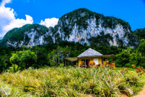 Hiking in beautiful Viñales, Cuba | FinnsAway Travel Blog