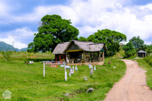 Hiking in beautiful Viñales, Cuba | FinnsAway Travel Blog