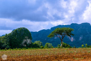 Hiking in beautiful Viñales, Cuba | FinnsAway Travel Blog