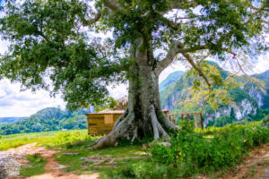 Hiking in beautiful Viñales, Cuba | FinnsAway Travel Blog