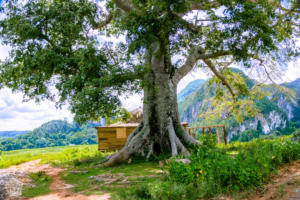 Hiking in beautiful Viñales, Cuba | FinnsAway Travel Blog