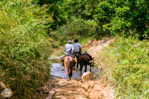 Hiking in beautiful Viñales, Cuba | FinnsAway Travel Blog