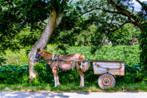 Hiking in beautiful Viñales, Cuba | FinnsAway Travel Blog