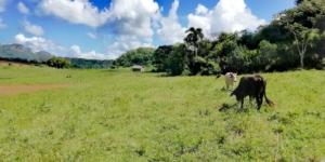 Hiking in beautiful Viñales, Cuba | FinnsAway Travel Blog