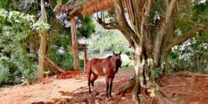Hiking in beautiful Viñales, Cuba | FinnsAway Travel Blog