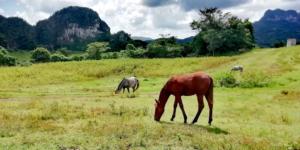 Hiking in beautiful Viñales, Cuba | FinnsAway Travel Blog