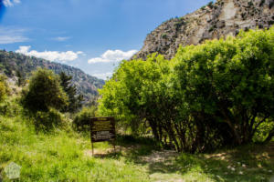 Hiking in Avakas Gorge in Paphos district, Cyprus | FinnsAway Travel Blog