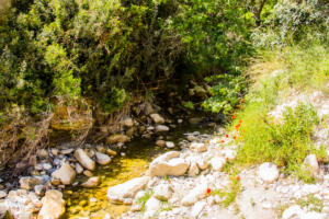 Hiking in Avakas Gorge in Paphos district, Cyprus | FinnsAway Travel Blog