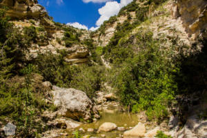 Hiking in Avakas Gorge in Paphos district, Cyprus | FinnsAway Travel Blog