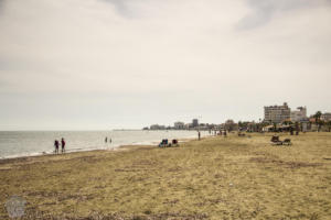 Finikoudes beach in February Larnaca Cyprus | FinnsAway blog