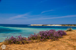 Road trip in Akamas Peninsula Cyprus | Lara beach | FinnsAway Travel Blog