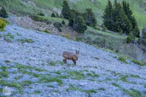 Day hike around Chamechaude, the highest peak of Chartreuse massif in eastern France, close to the city of Grenoble. What to expect and how to plan your hike. | FinnsAway travel blog