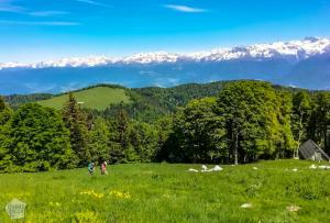 Day hike around Chamechaude, the highest peak of Chartreuse massif in eastern France, close to the city of Grenoble. What to expect and how to plan your hike. | FinnsAway travel blog