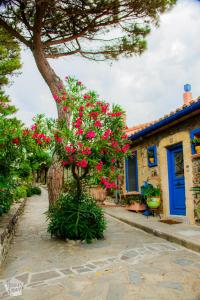 Charming port town of Collioure by the Mediterranean Sea in French Catalonia | FinnsAway Travel Blog