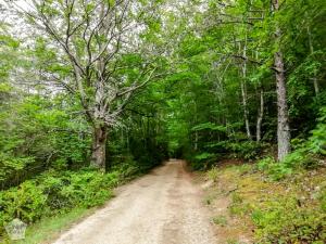 Hiking Imbut and Vidal trails in magnificent Verdon Gorge in Provence, France. | FinnsAway Travel Blog