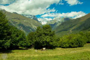 Multi-day trek from Mestia to Ushguli in Svaneti area, Georgia, is breathtaking. Hike 3-4 days in amazing views over snow-topped Caucasus mountain peaks, glaziers and Svan villages. | FinnsAway Travel Blog