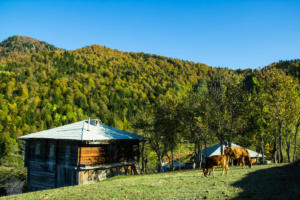 Mountainous inland Adjara in Georgia is home to beautiful nature and small rural mountain villages. We visited Khulo and took a cable car ride to tiny Tago, where you can also trek along marked hiking trails. | FinnsAway Travel Blog