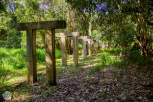 Los Naranjos Archaeological & Ecological Park | Lago de Yojoa Lake, Honduras | FinnsAway Travel Blog