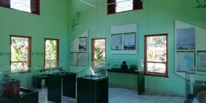 Los Naranjos Archaeological & Ecological Park | Lago de Yojoa Lake, Honduras | FinnsAway Travel Blog