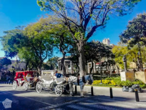 Horse cart is one way of sightseeing in Guadalajara, Jalisco, Mexico | FinnsAway Travel Blog
