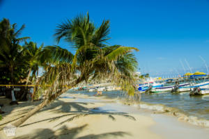 Mexico, Yucatan Peninsula, Riviera Maya: Visiting Playa del Carmen in October | FinnsAway Travel Blog