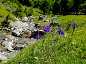 Hiking in Western Valleys Nature Park | Anso, Hecho and Valles Occidentals Natural Park | FinnsAway Travel Blog 