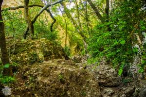 Hiking in Montserrat Mountain Nature Park, Catalonia Spain. | FinnsAway Nomad Travels