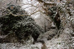 Meteora in winter | FinnsAway