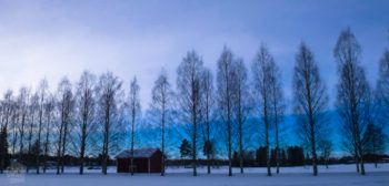 Finland-Oulu_01.jpg
