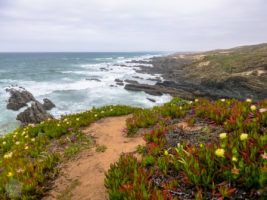 Portugal Road trip - FinnsAway