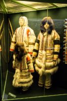 Taymyr, Siberia - FinnsAway