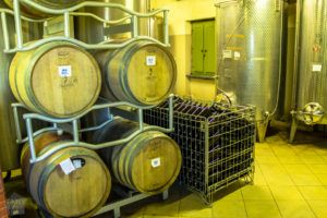 Colle-Sorripa-wine-producer | FinnsAway